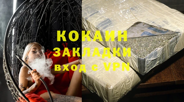 шишки Бородино