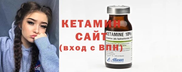 шишки Бородино