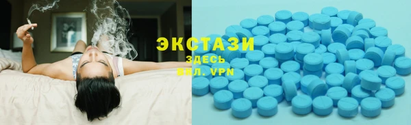 шишки Бородино