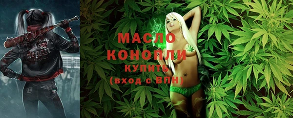 шишки Бородино