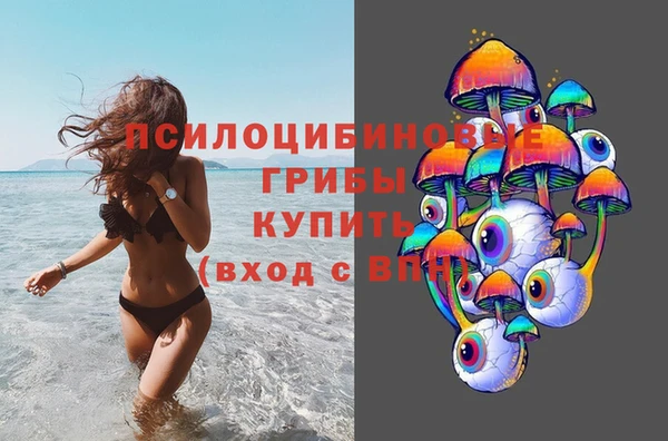 шишки Бородино