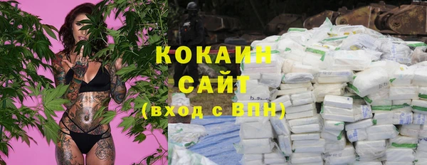шишки Бородино