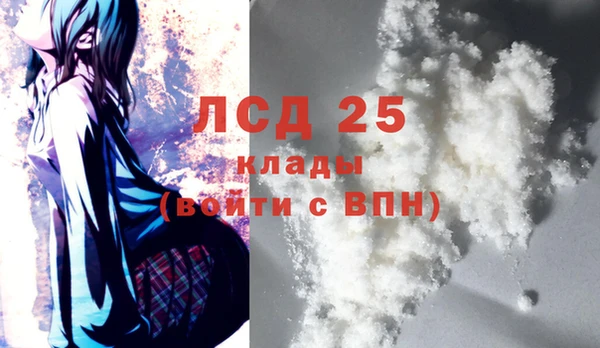 шишки Бородино