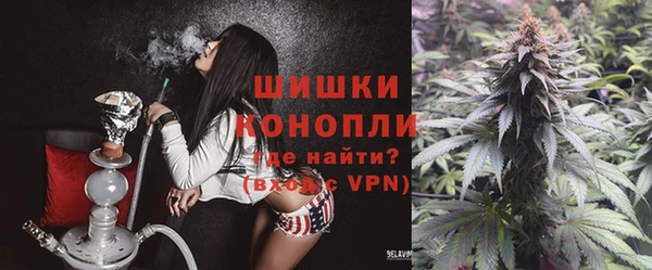 шишки Бородино