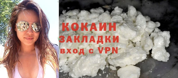 шишки Бородино