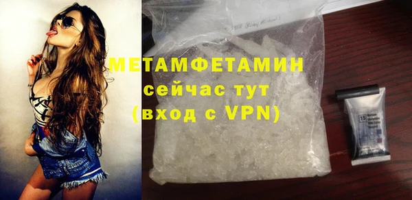 шишки Бородино