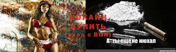 шишки Бородино