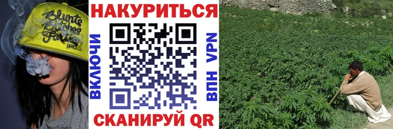 Каннабис семена Георгиевск